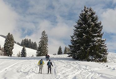 Cross country skiing in Montana